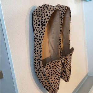 C. Wonder Leopard-Print Pointed Toe Flats in Tan and Black